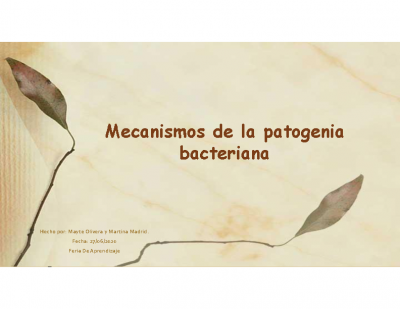 MicroMecanismos de la patogenia bacteriana