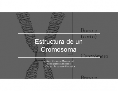 Estructura de un Cromosoma
