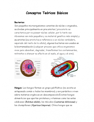 Microbiología conceptos_basicos